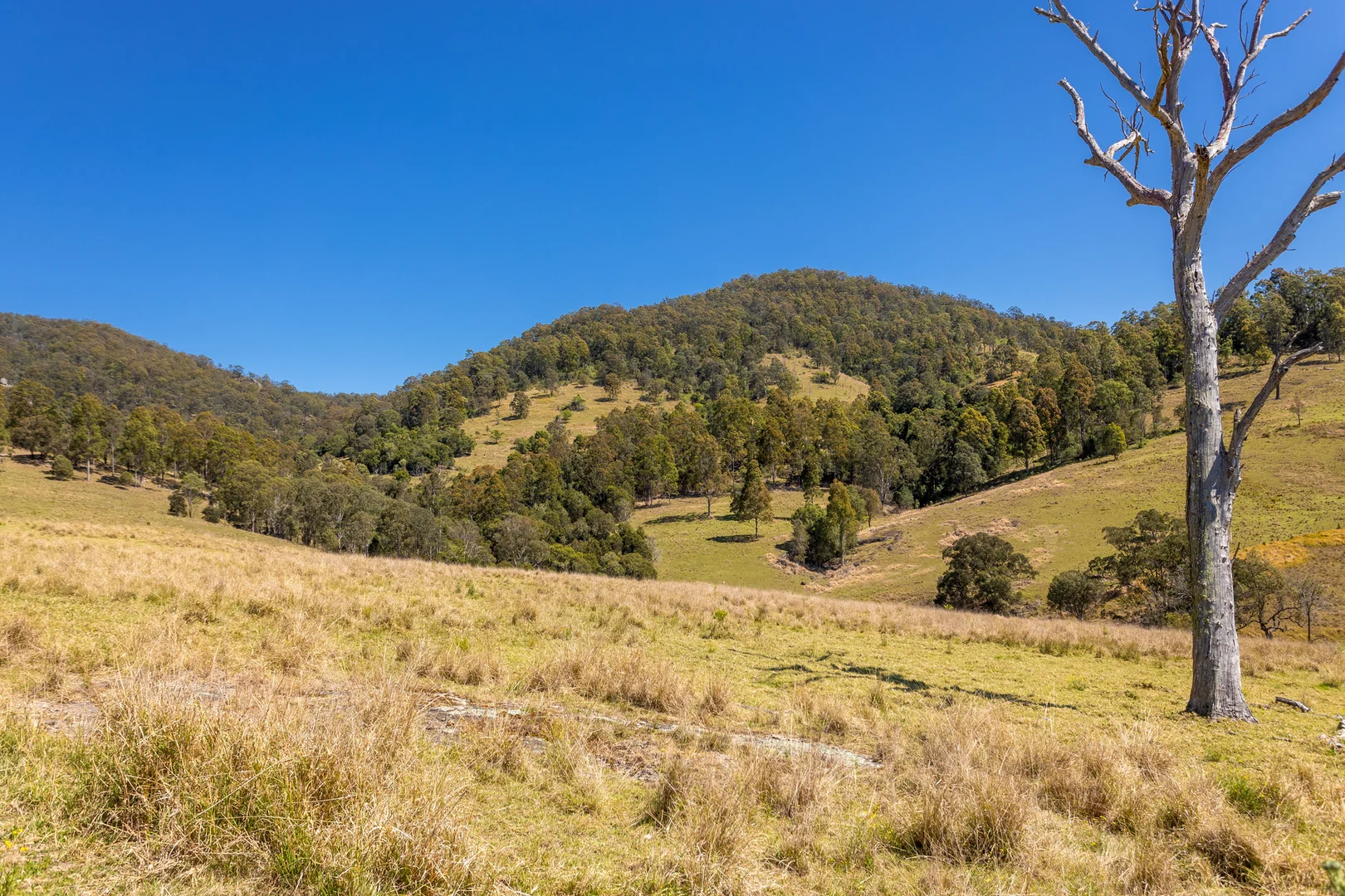 Additional image 20 of 233 Thunderbolts Way, Gloucester NSW 2422