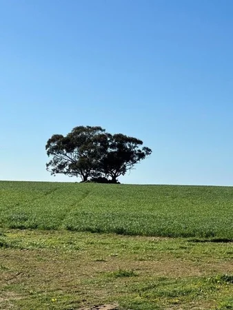 Additional image 18 of 1105 Coorow-Greenhead Road, Coorow WA 6515