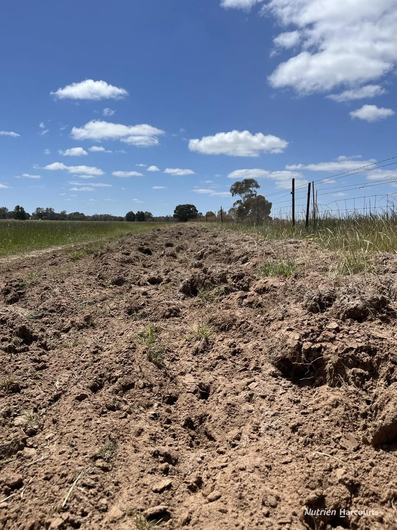 Additional image 7 of Lot 702 Dale Kokeby Road, Kokeby WA 6304