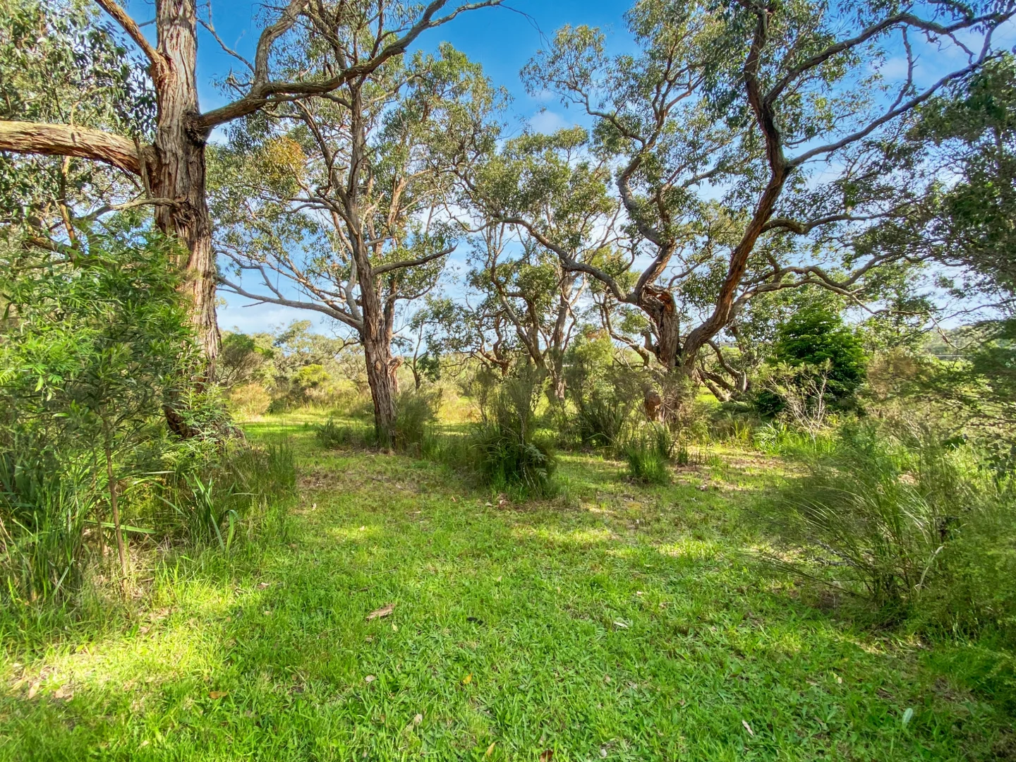 Additional image 15 of 160 Soldiers Road, Fish Creek VIC 3959