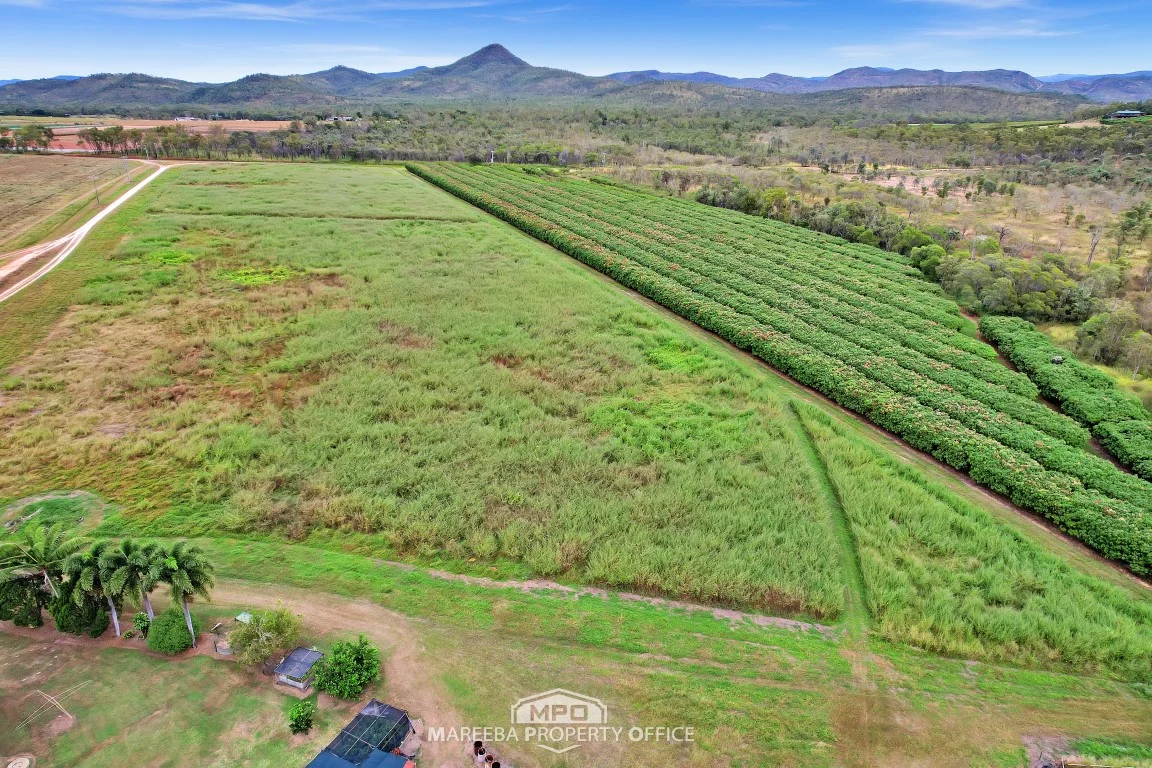 Additional image 2 of 994 Leafgold Weir Road, Dimbulah QLD 4872