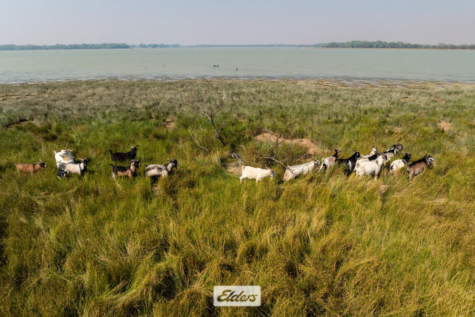 Additional image 36 of 340 West Wilcannia Road, Menindee NSW 2879