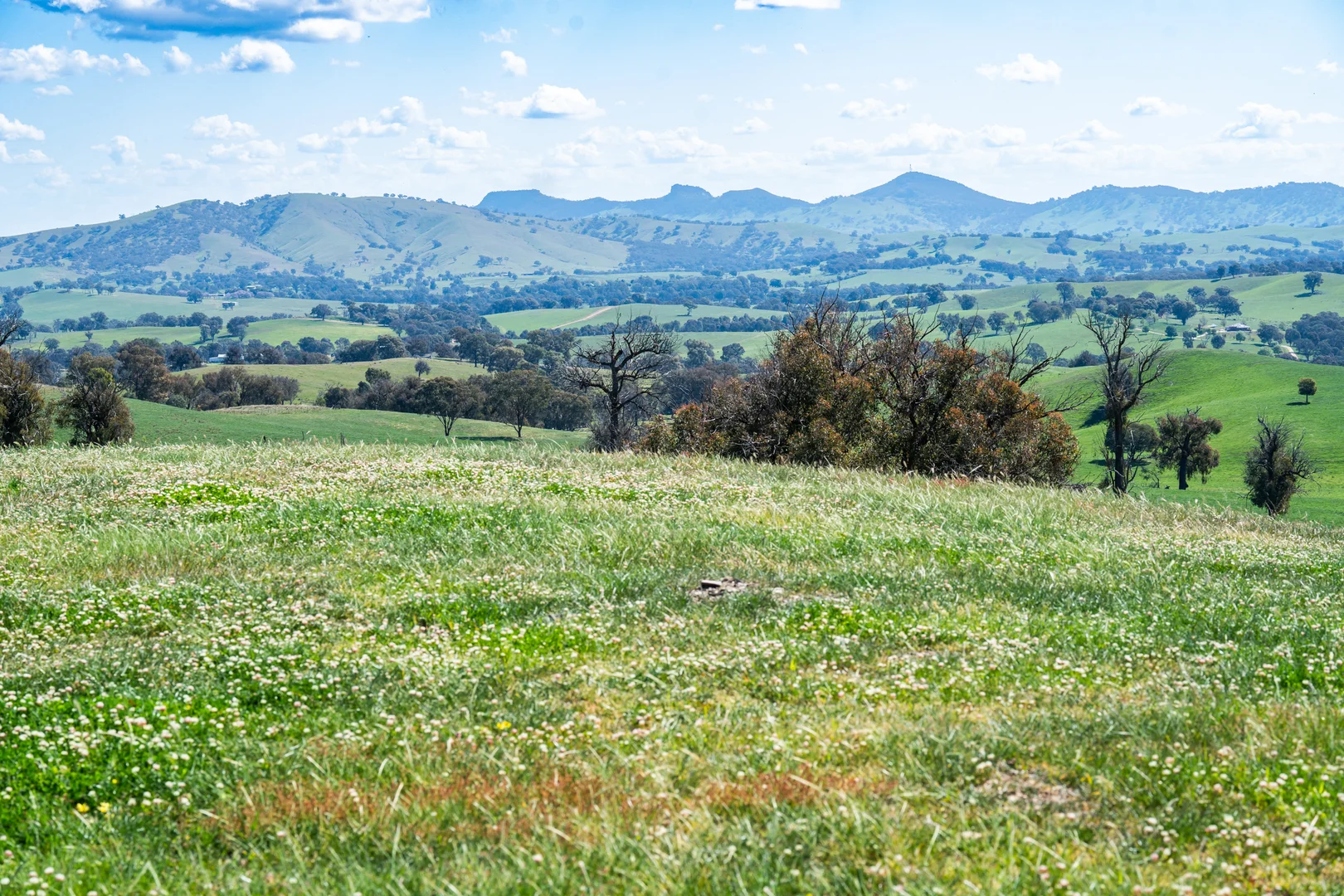 Additional image 19 of 13759 Hume Highway, Mullengandra NSW 2644