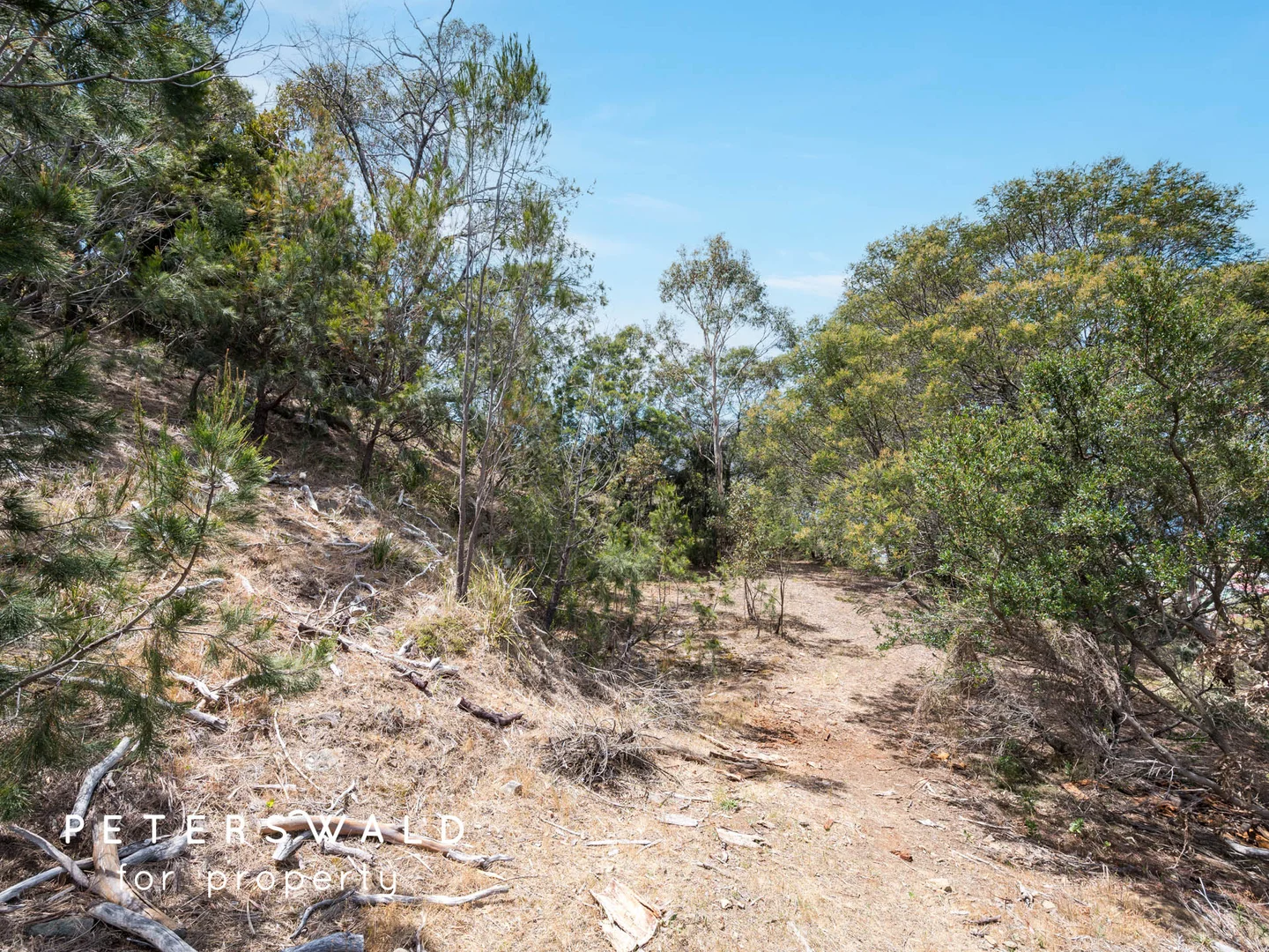 Additional image 6 of 6 White Gum PIace, Old Beach TAS 7017