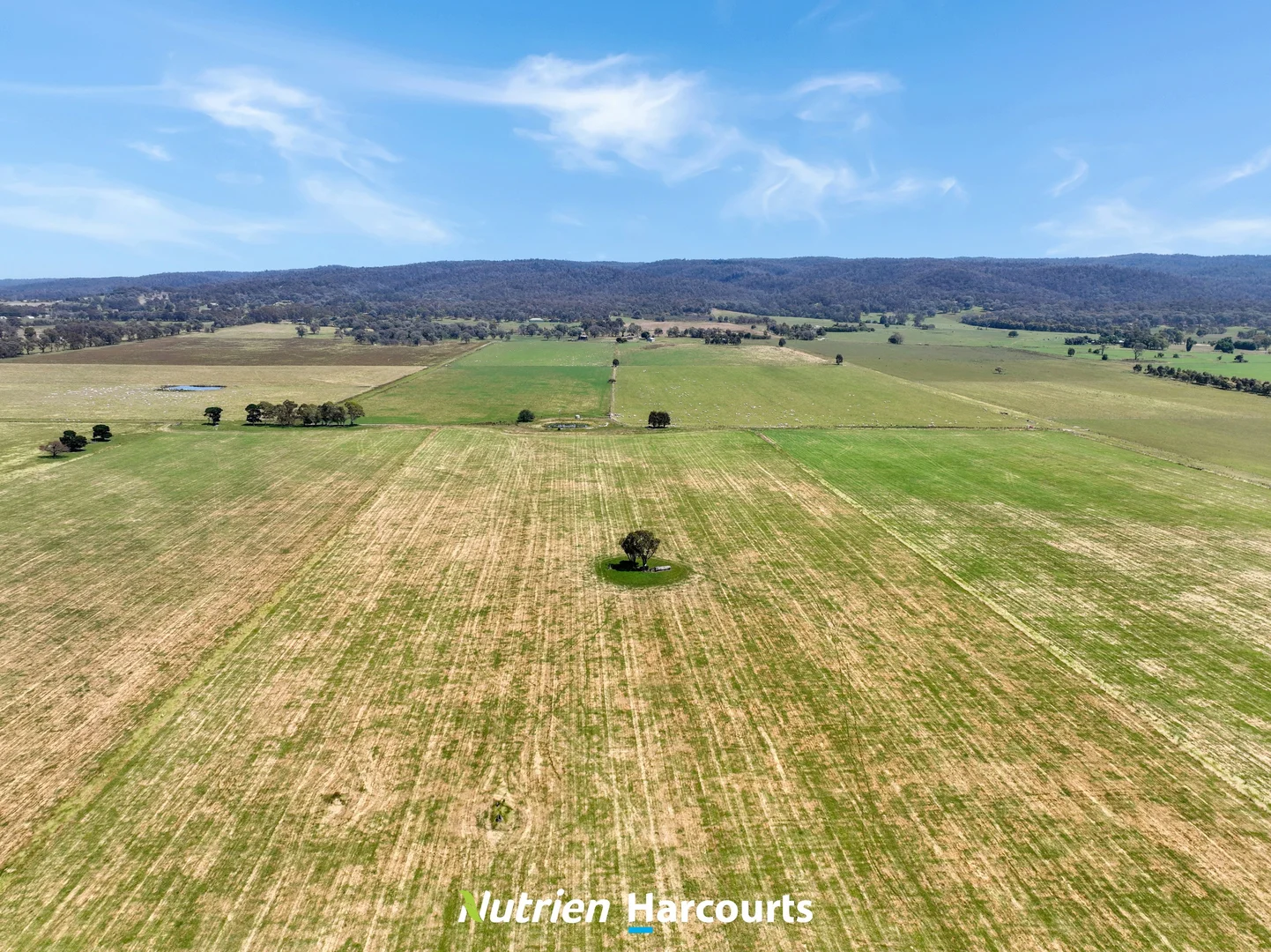 Additional image 17 of 480 Toongabbie-Cowwarr Road, Cowwarr VIC 3857