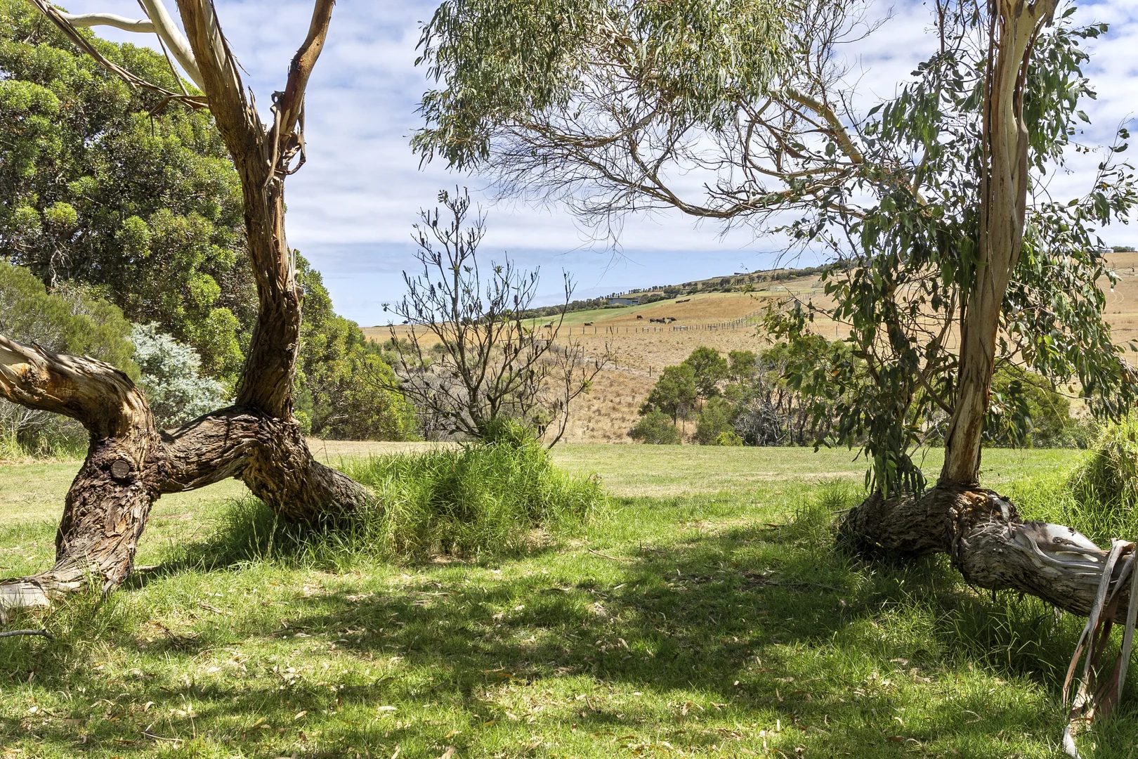 Additional image 2 of 37 Glenvale Road, Flinders VIC 3929