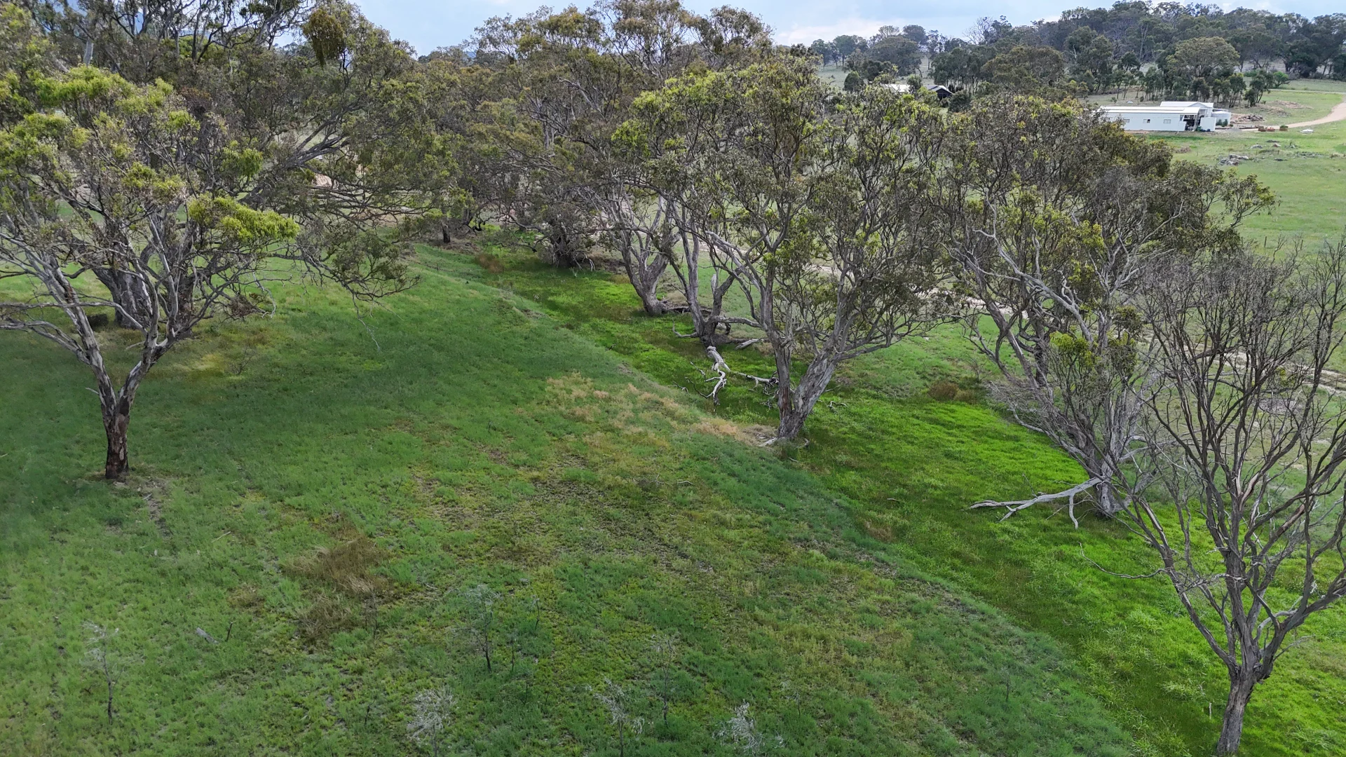 Additional image 4 of Lot 106 Sunnyside Loop Road, Tenterfield NSW 2372