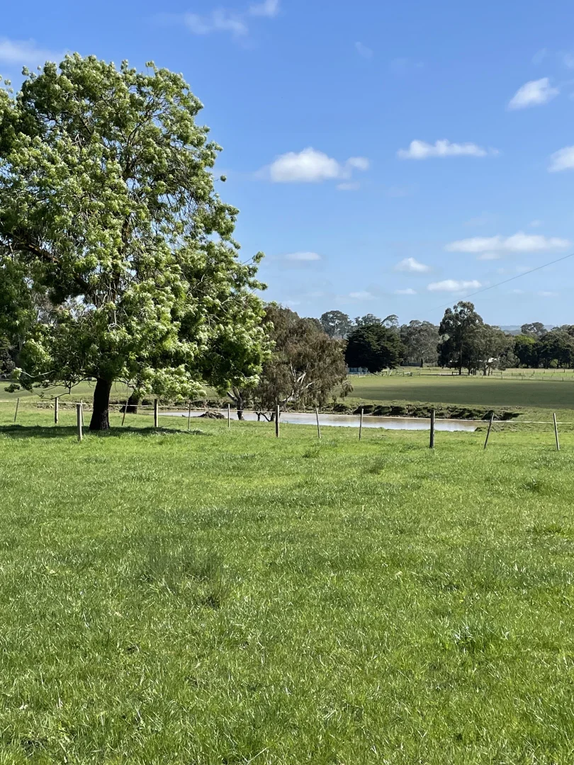 Additional image 17 of 138 McConachys Road, Henty VIC 3312