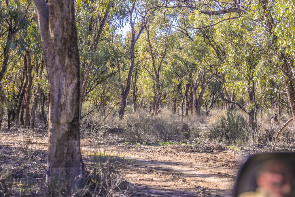 Additional image 22 of 'Wetuppa' 245 Fisher Lane, Wetuppa NSW 2734