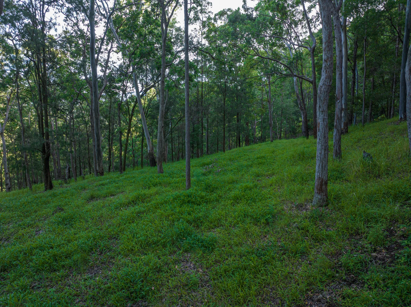 Additional image 36 of 2298 Nimbin Road, Nimbin NSW 2480