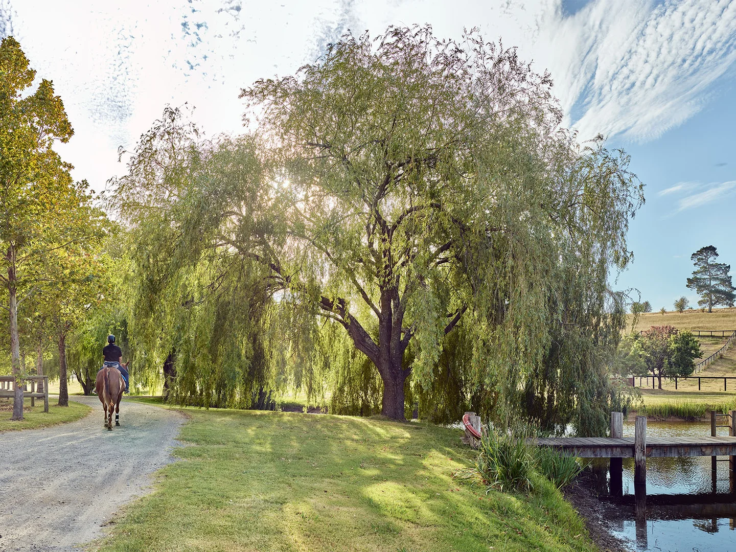 Additional image 18 of 141 Yarrawa Road, Moss Vale NSW 2577