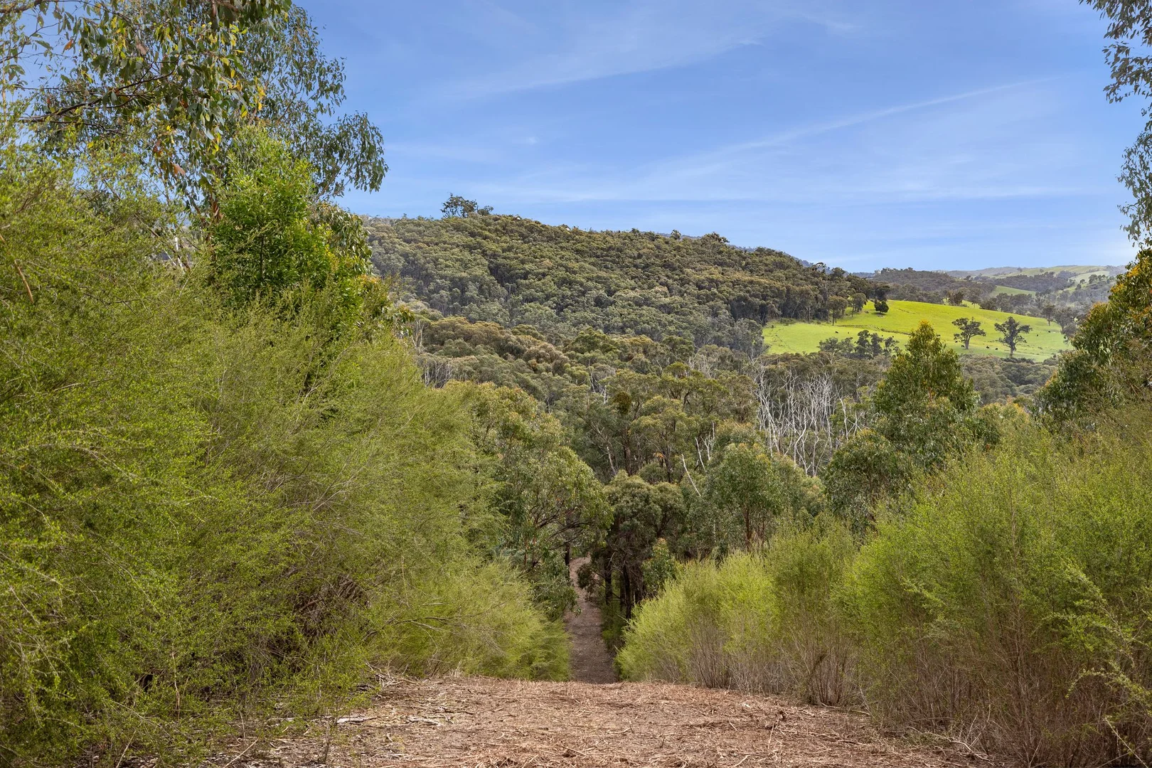 Additional image 7 of 21 Gullett Road, Glenburn VIC 3717