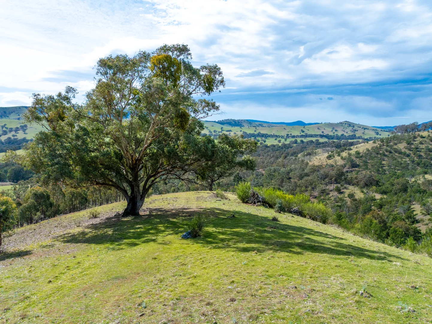 Additional image 2 of 1139 Ensay-Doctors Flat Road, Ensay VIC 3895