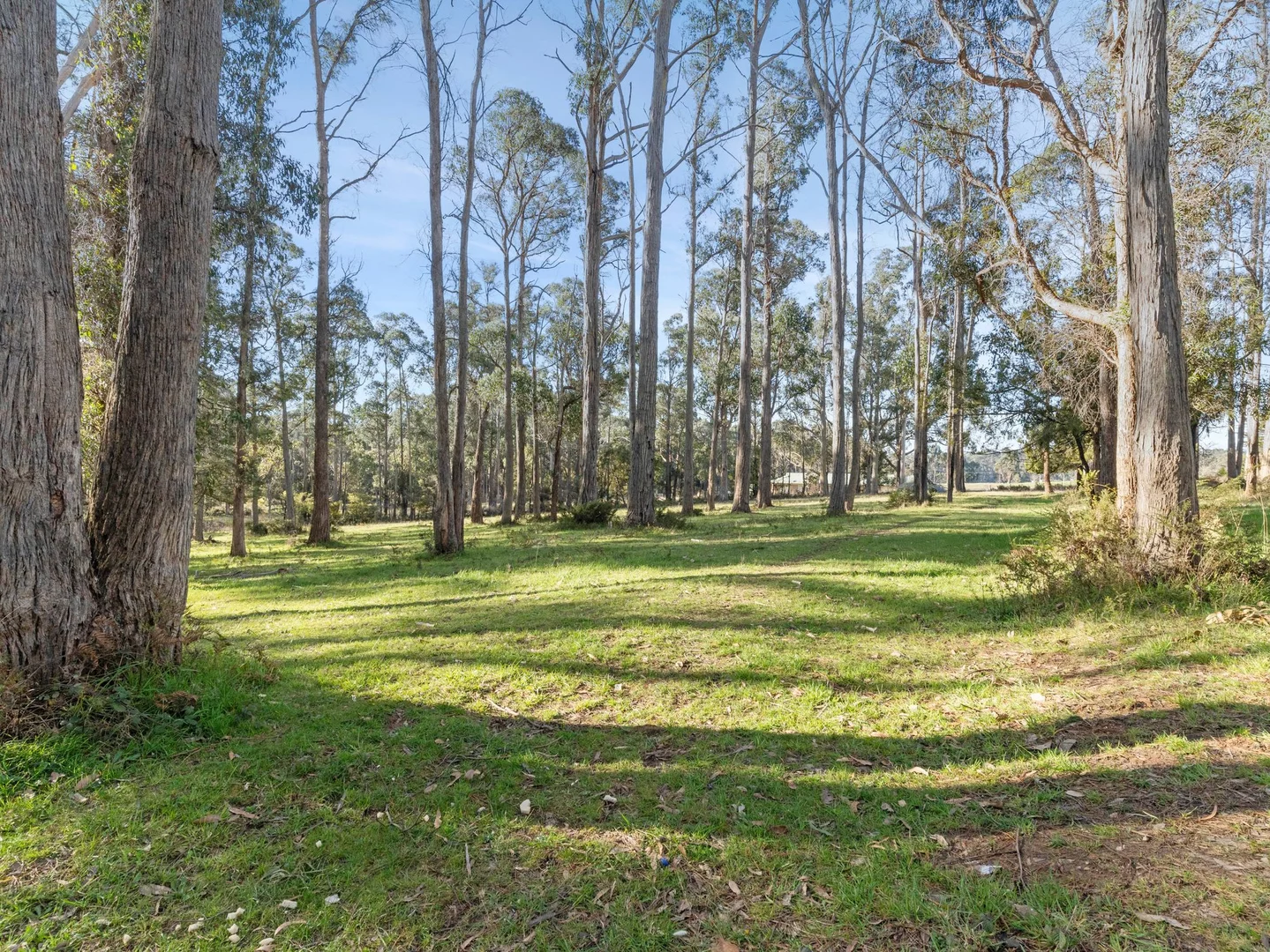 Additional image 4 of Lot 0 Goss Road, Railton TAS 7305