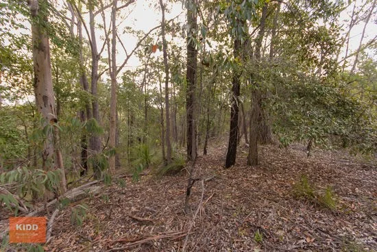 Additional image 8 of 62 Una Road, Bucketty NSW 2250