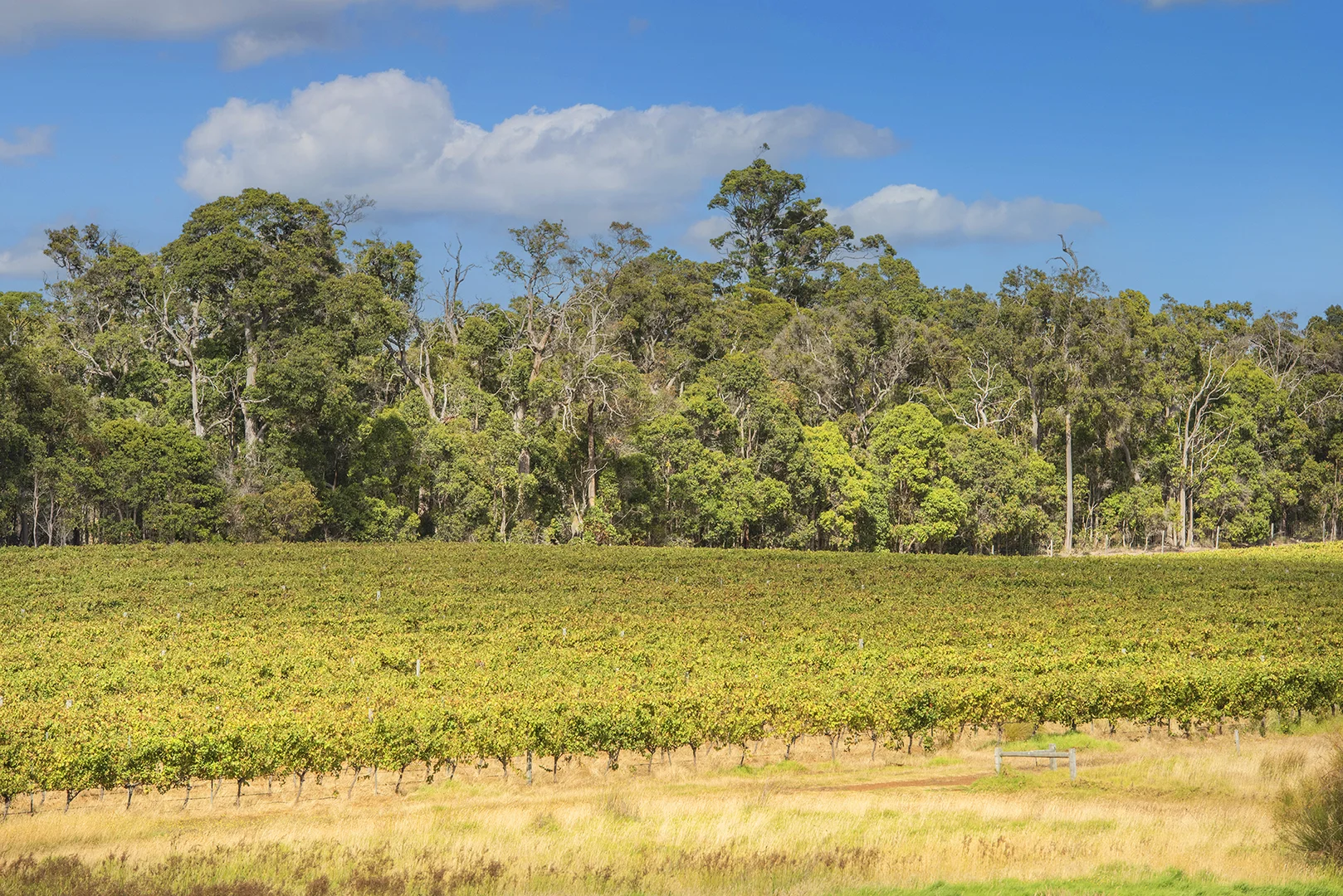 Additional image 12 of 243 Miamup Road, Cowaramup WA 6284