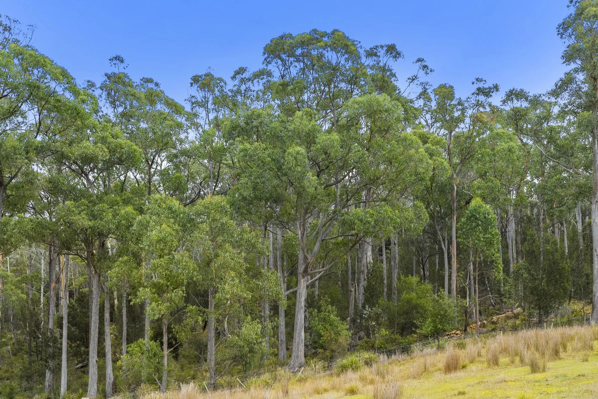Additional image 24 of 1 & 2 Bresnehans Road, Little Swanport TAS 7190