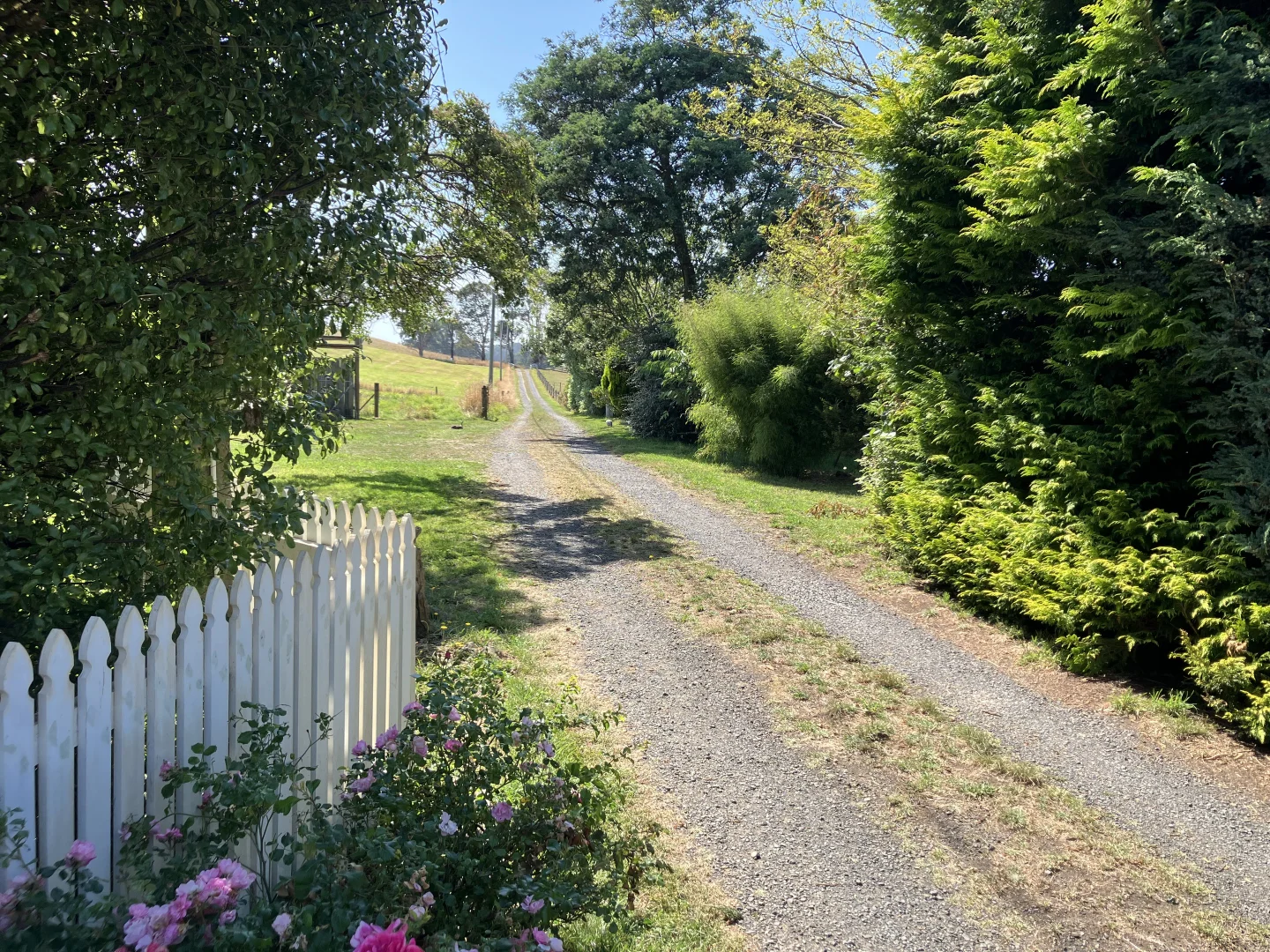 Additional image 21 of 729 Circular Road, Ridgley TAS 7321