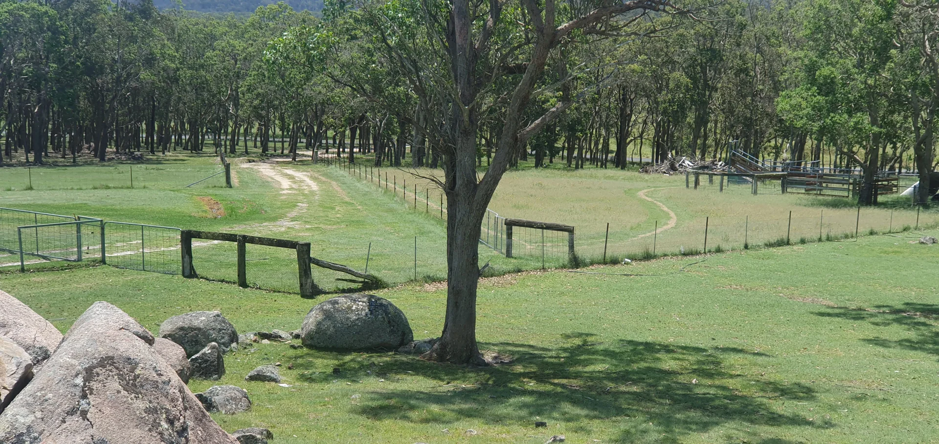 Additional image 10 of 1191 Black Swamp Road, Tenterfield NSW 2372