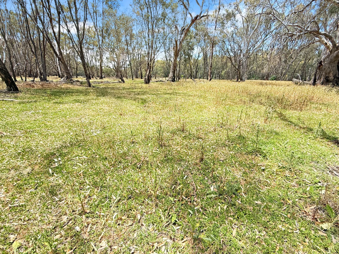 Additional image 16 of 116 Woolscour Road, Narrandera NSW 2700