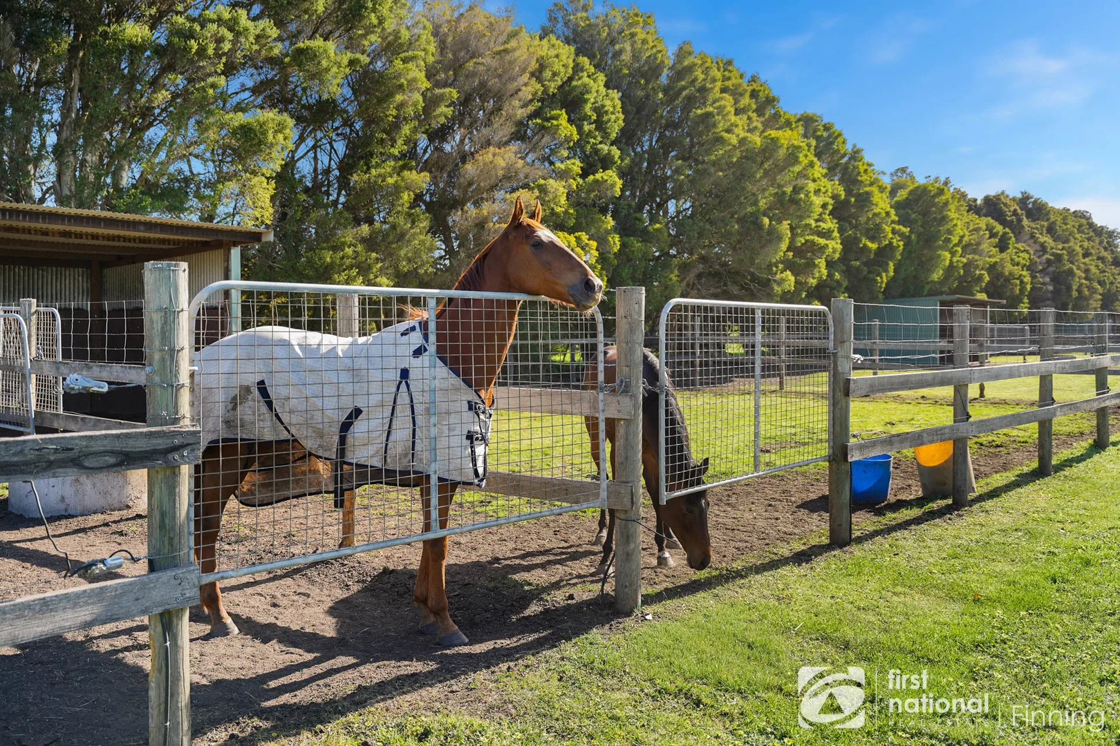 Additional image 30 of 165 Scanlons Drain Road, Bayles VIC 3981