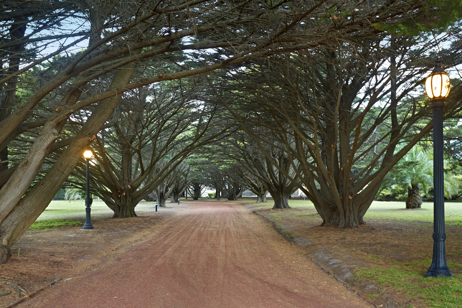 Additional image 7 of 11 Williams Road, Mount Eliza VIC 3930