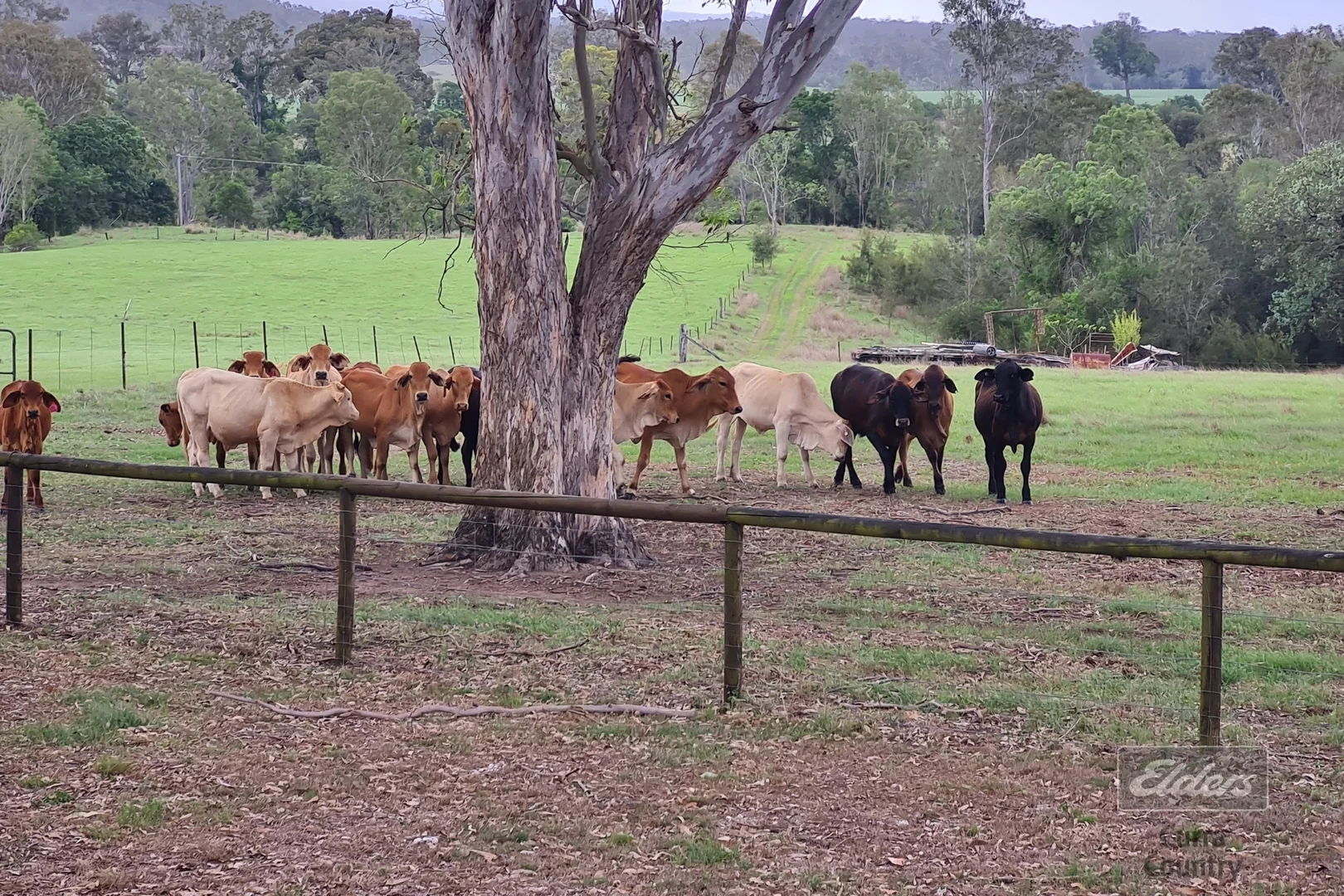 Additional image 17 of 286 Scotchy Pocket Road, Scotchy Pocket QLD 4570