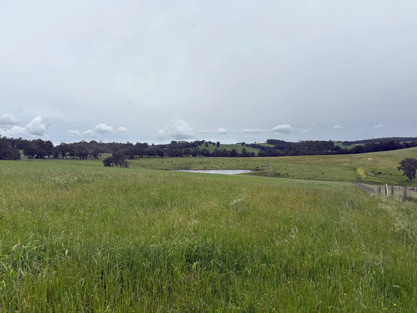 Additional image 13 of Lot 72 Beelerup Road, Beelerup WA 6239