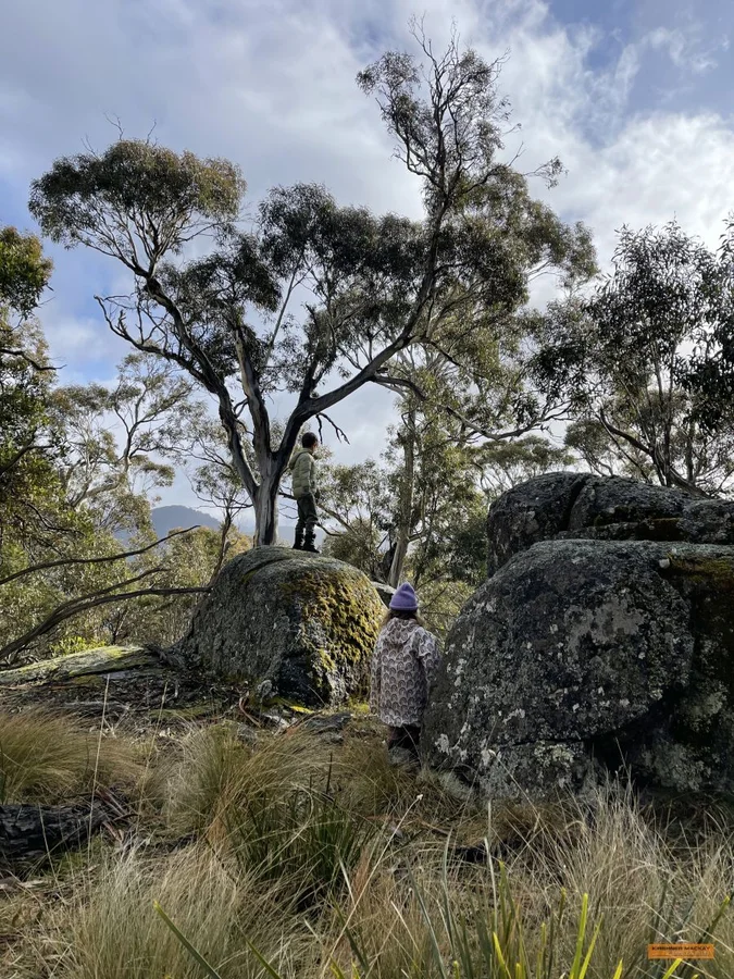 Additional image 36 of "Jimmy Doo" 404 Westons Road, Crackenback NSW 2627