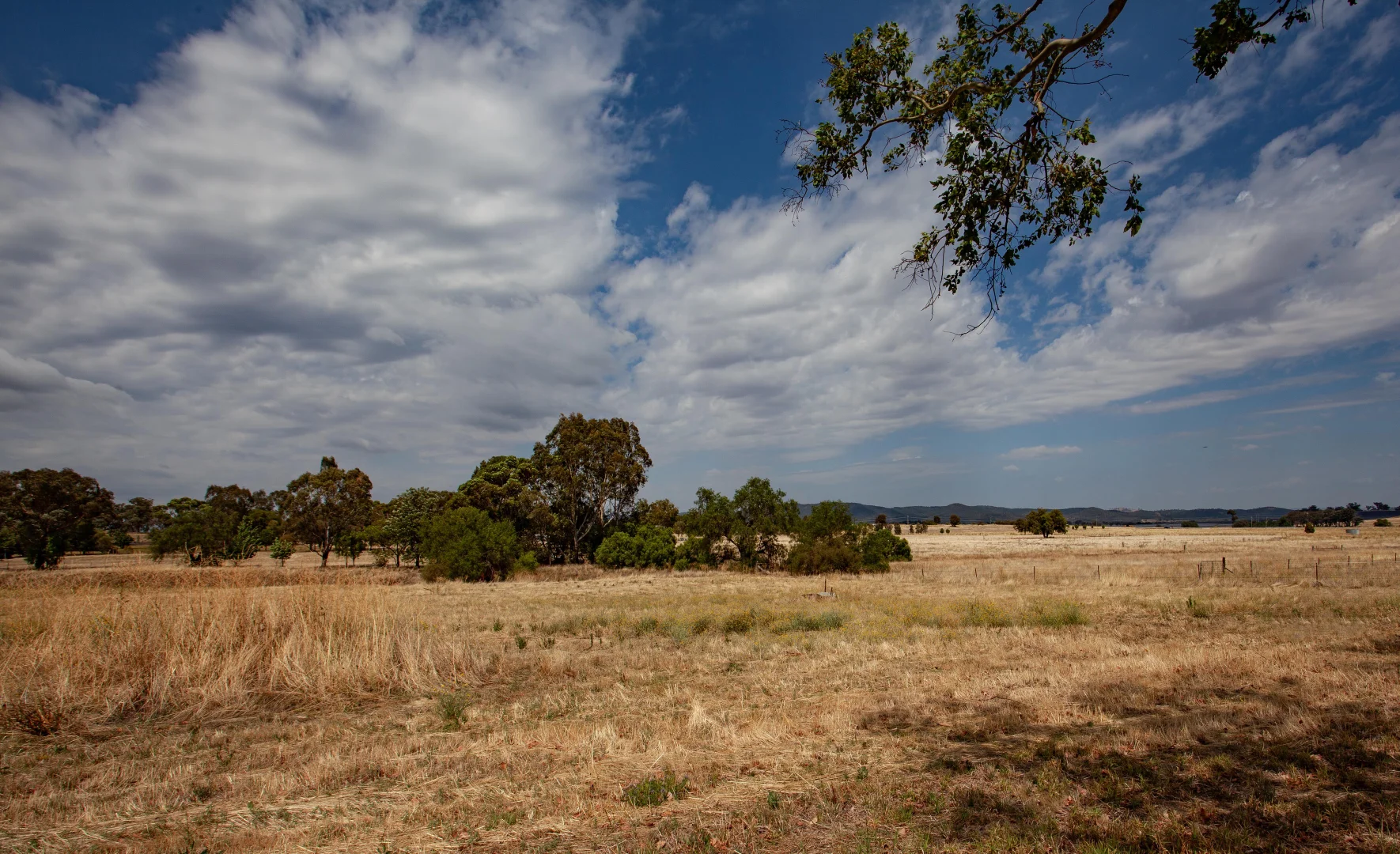 Additional image 27 of 21 Cadia Place, Wellington NSW 2820