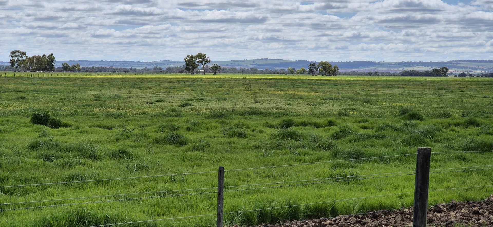 Additional image 16 of 4 Pin Pin Road, Beermullah WA 6503