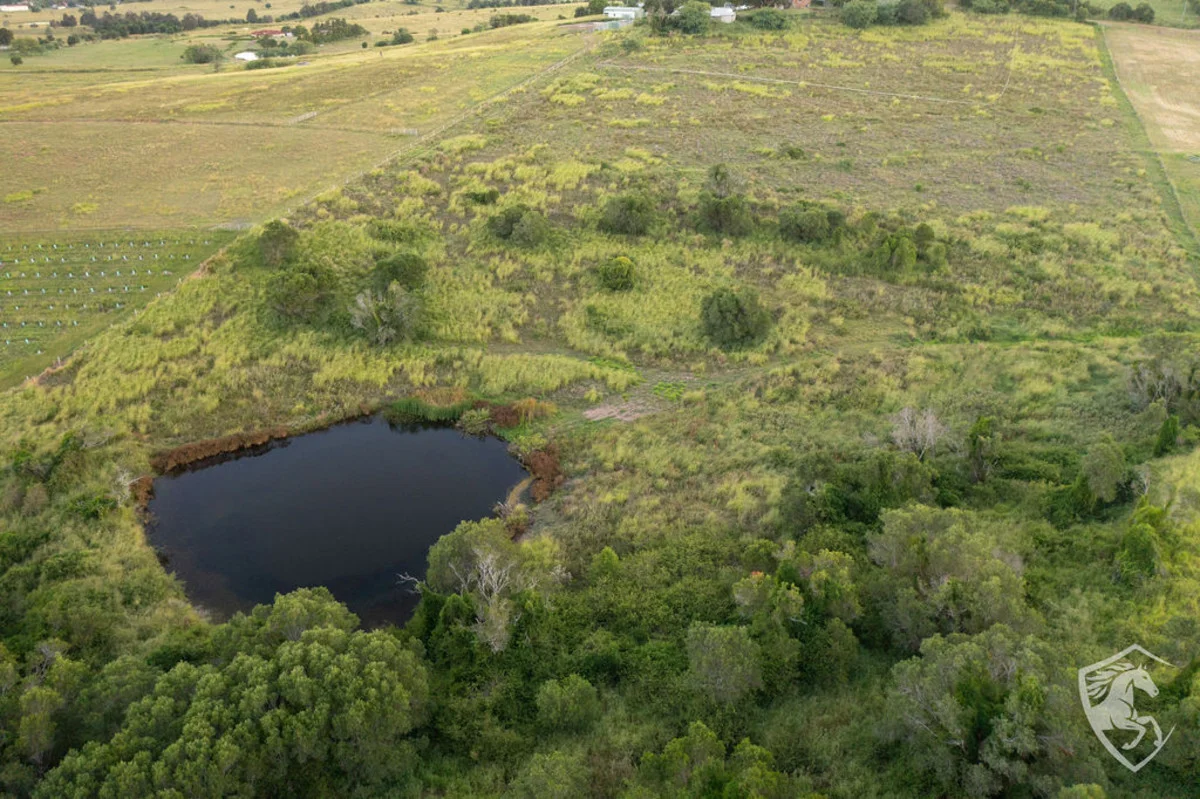 Additional image 22 of 131 Schubels Road, Marburg QLD 4346