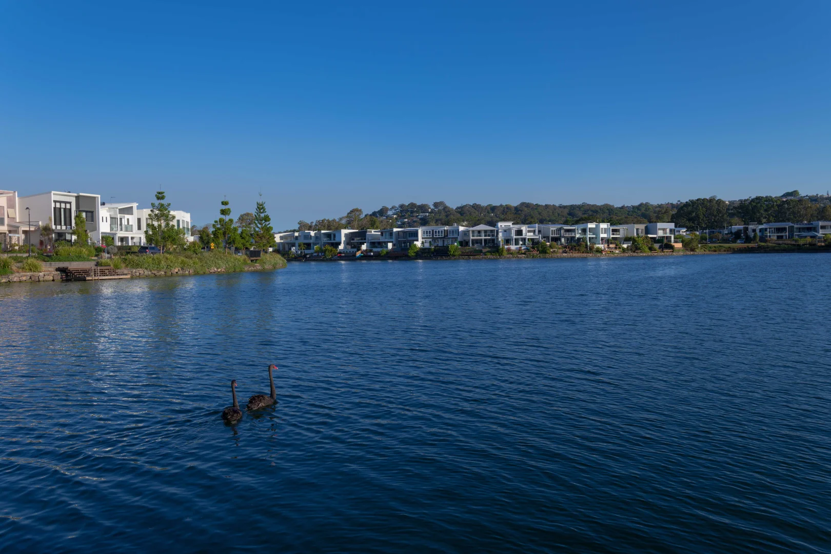 Additional image 6 of 18 Discovery Place, Maroochydore QLD 4558