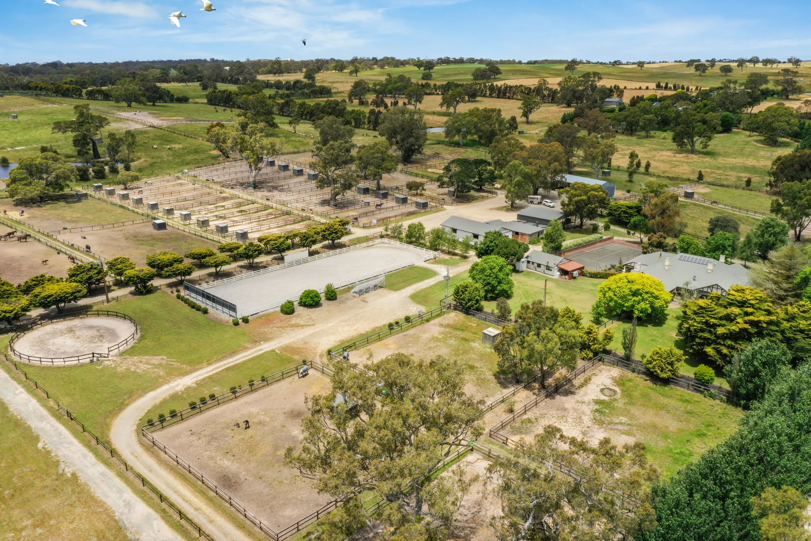 Additional image 73 of 59 McLean Road, Birdwood SA 5234