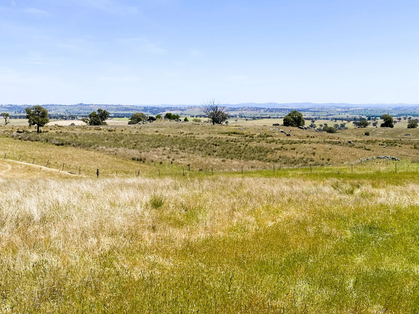 Additional image 12 of 250 Emu Creek Road, Canowindra NSW 2804