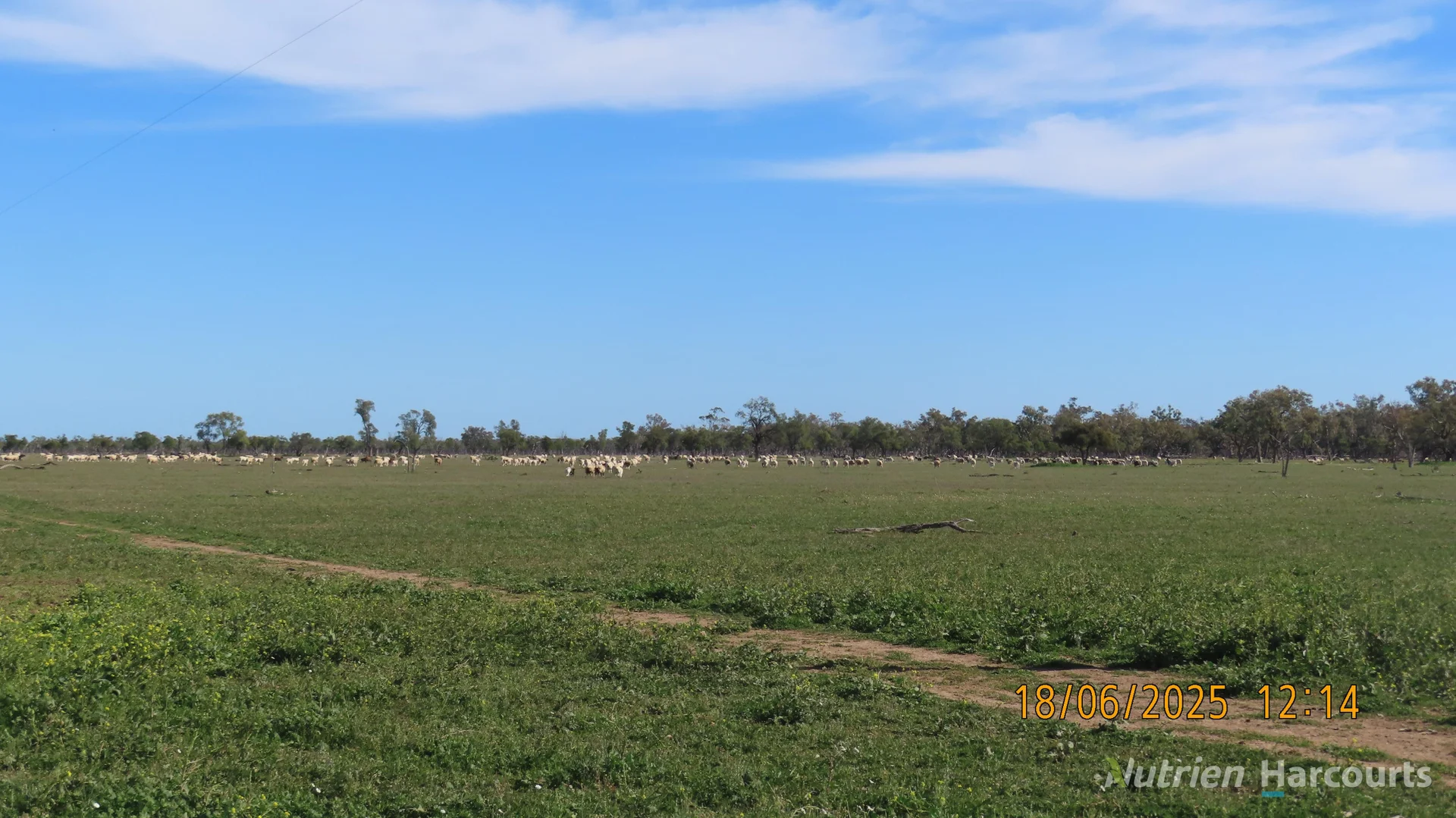 Additional image 5 of * Springvale, Walgett NSW 2832