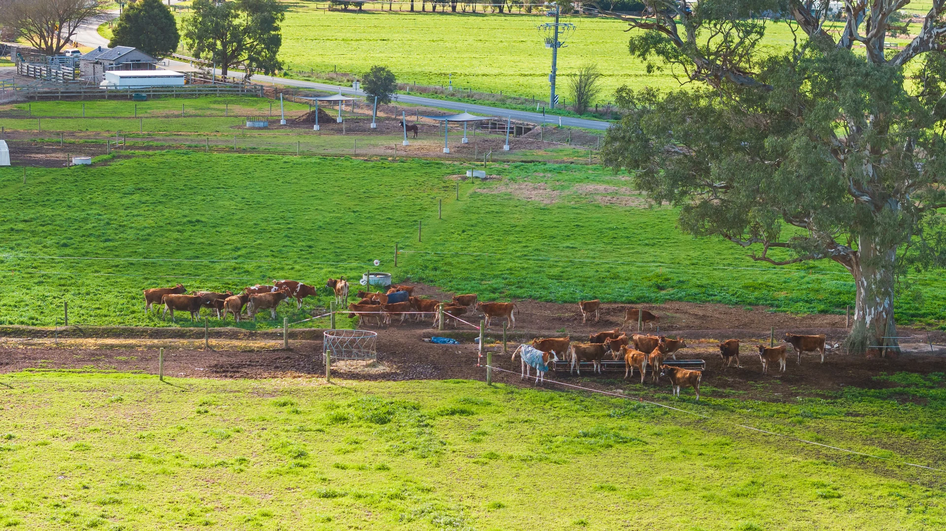 Additional image 33 of 353 Tinamba Newry Road, Newry VIC 3859