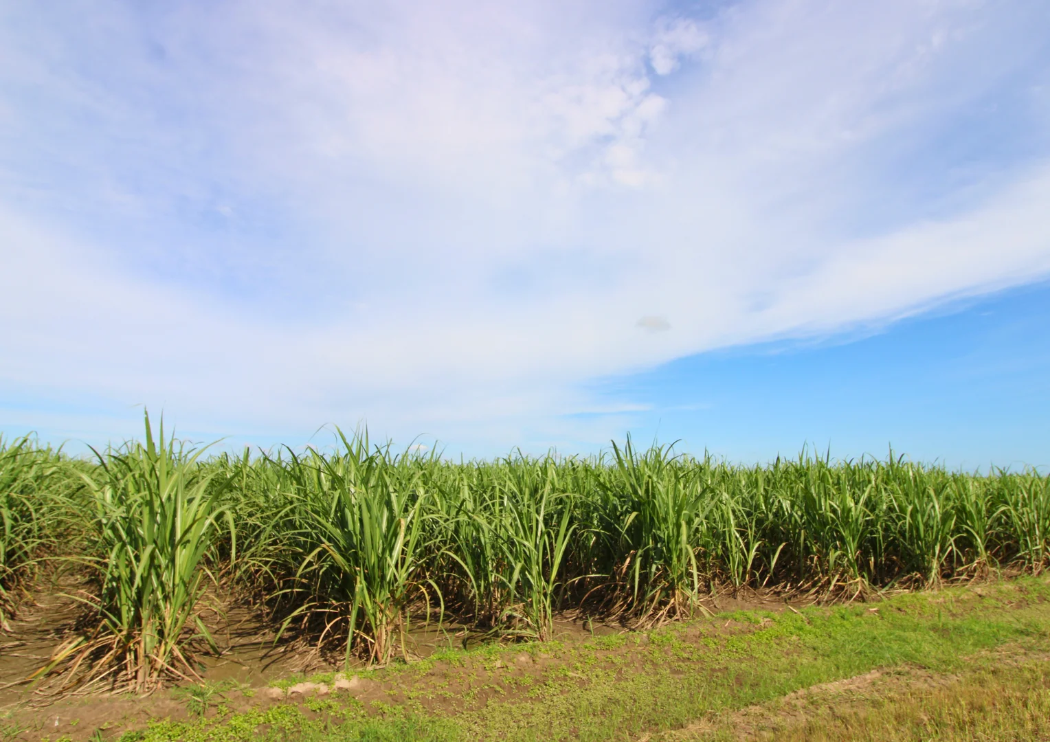 Additional image 7 of Lot 2 Barazzas Road, Alloway QLD 4670