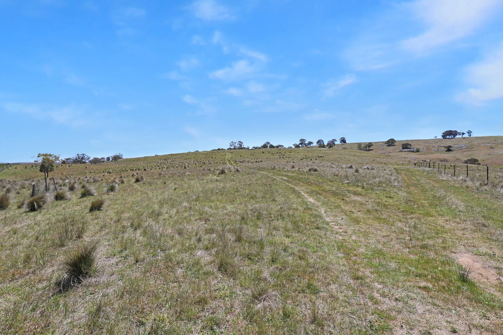 Additional image 12 of Lot 50 Delegate Road, Bombala NSW 2632
