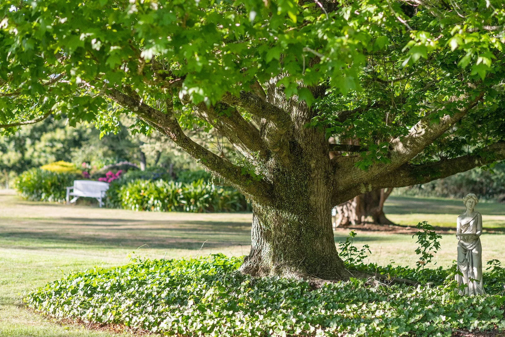 Additional image 30 of 192 Pearsons Lane, Robertson NSW 2577