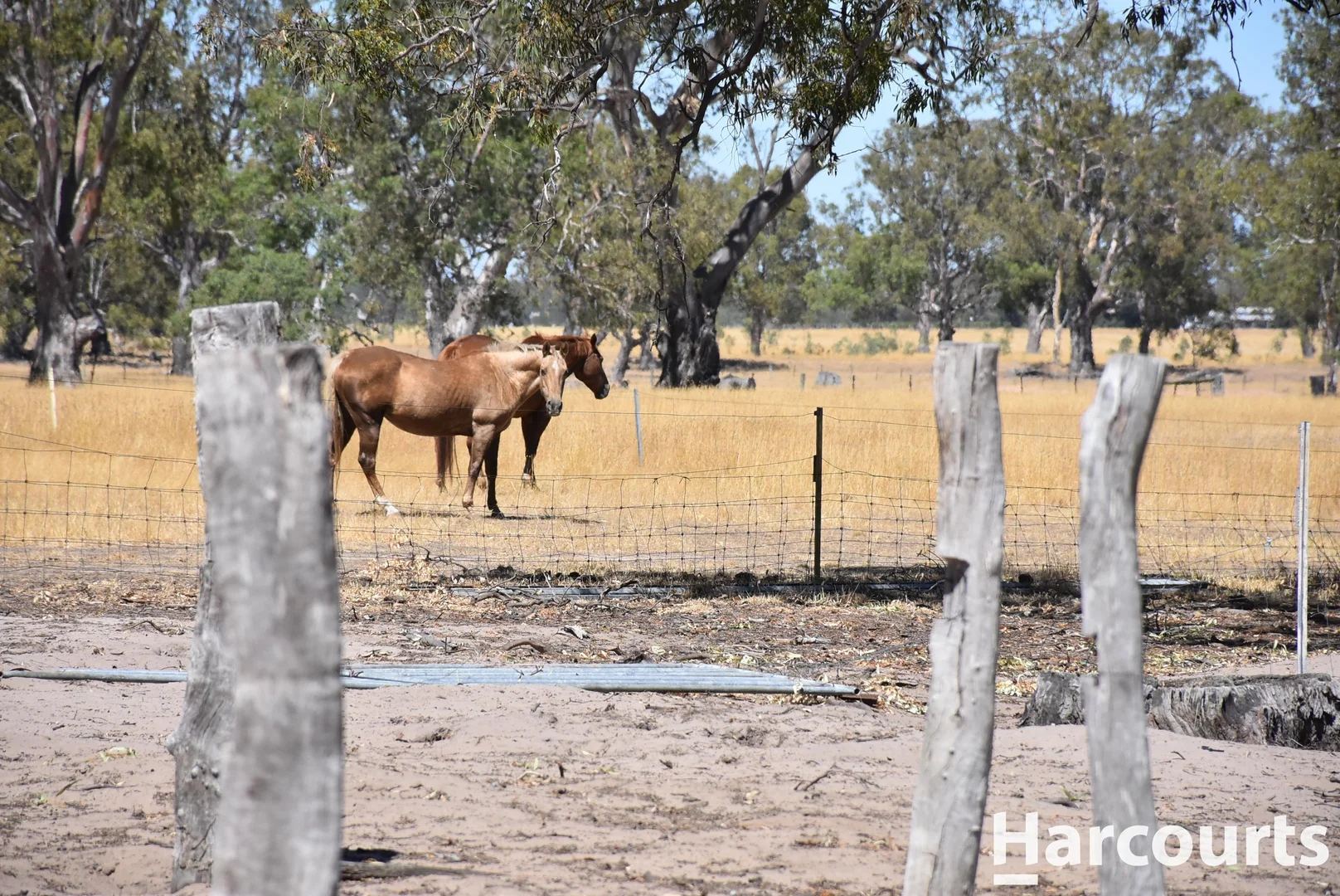 Additional image 4 of 414 Telangatuk East-Rocklands Road, Toolondo VIC 3401