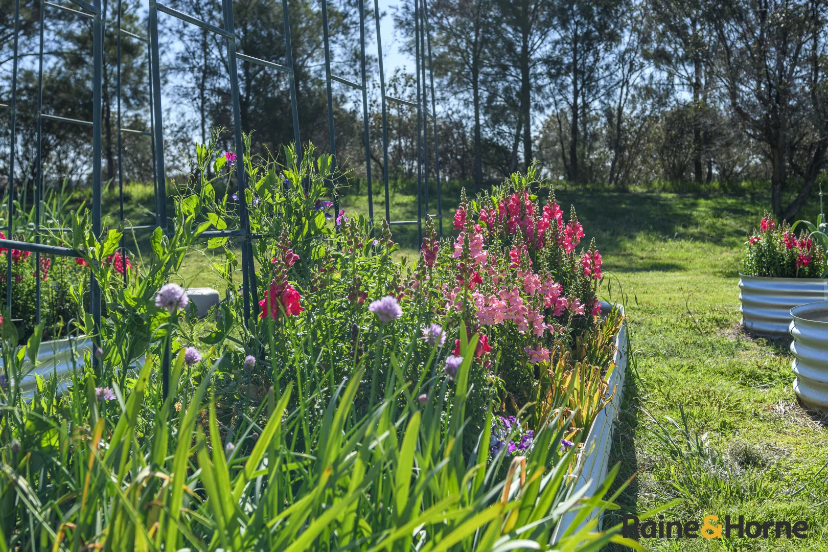 Additional image 23 of Lot 122 Nine Mile Road, Glen Innes NSW 2370