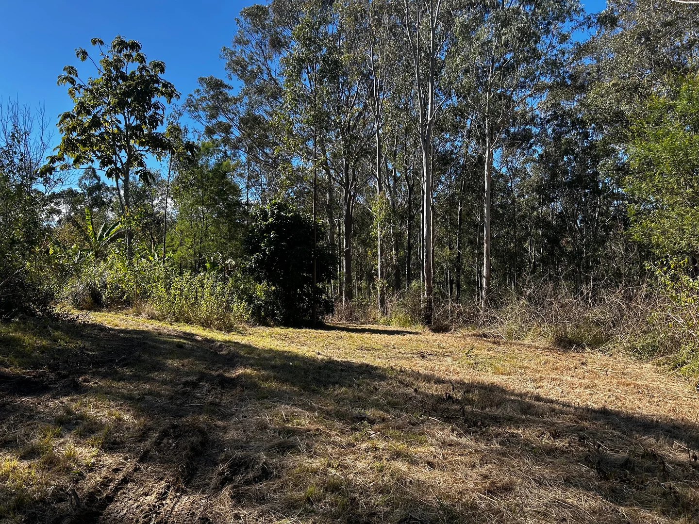 Additional image 6 of 506 Old Lawrence Road, Casino NSW 2470