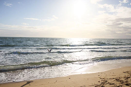 Additional image 14 of 27 HARTLEY STREET, Brighton VIC 3186