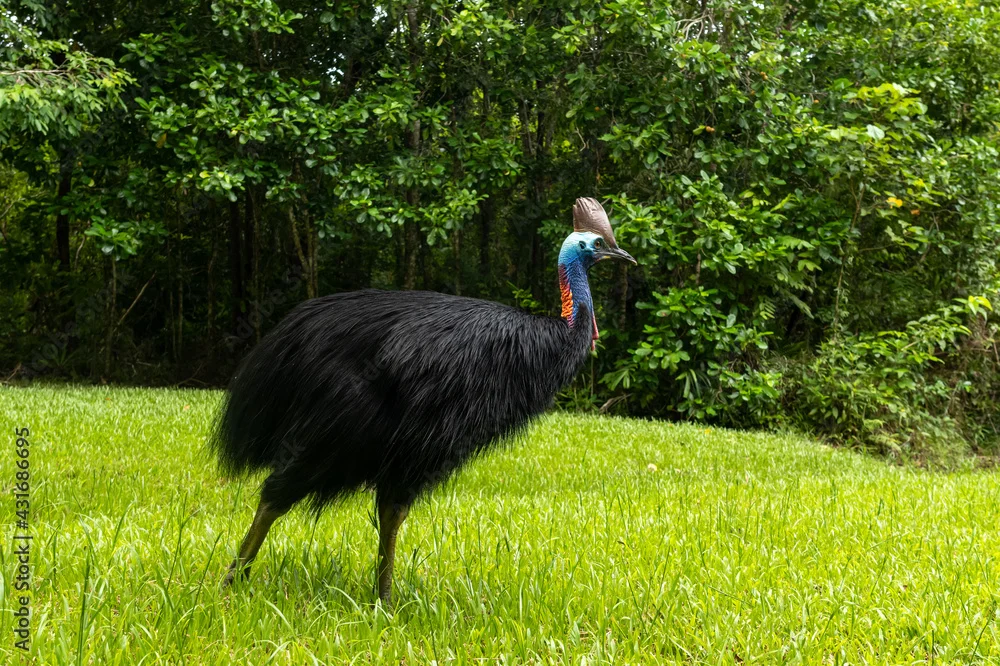 Additional image 14 of 21 Lindsay Road, Carmoo QLD 4852