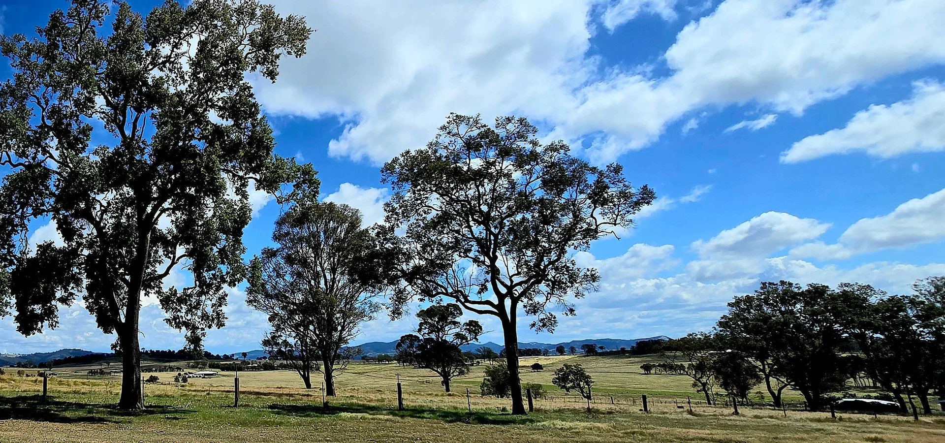 Additional image 32 of 1191 Black Swamp Road, Tenterfield NSW 2372