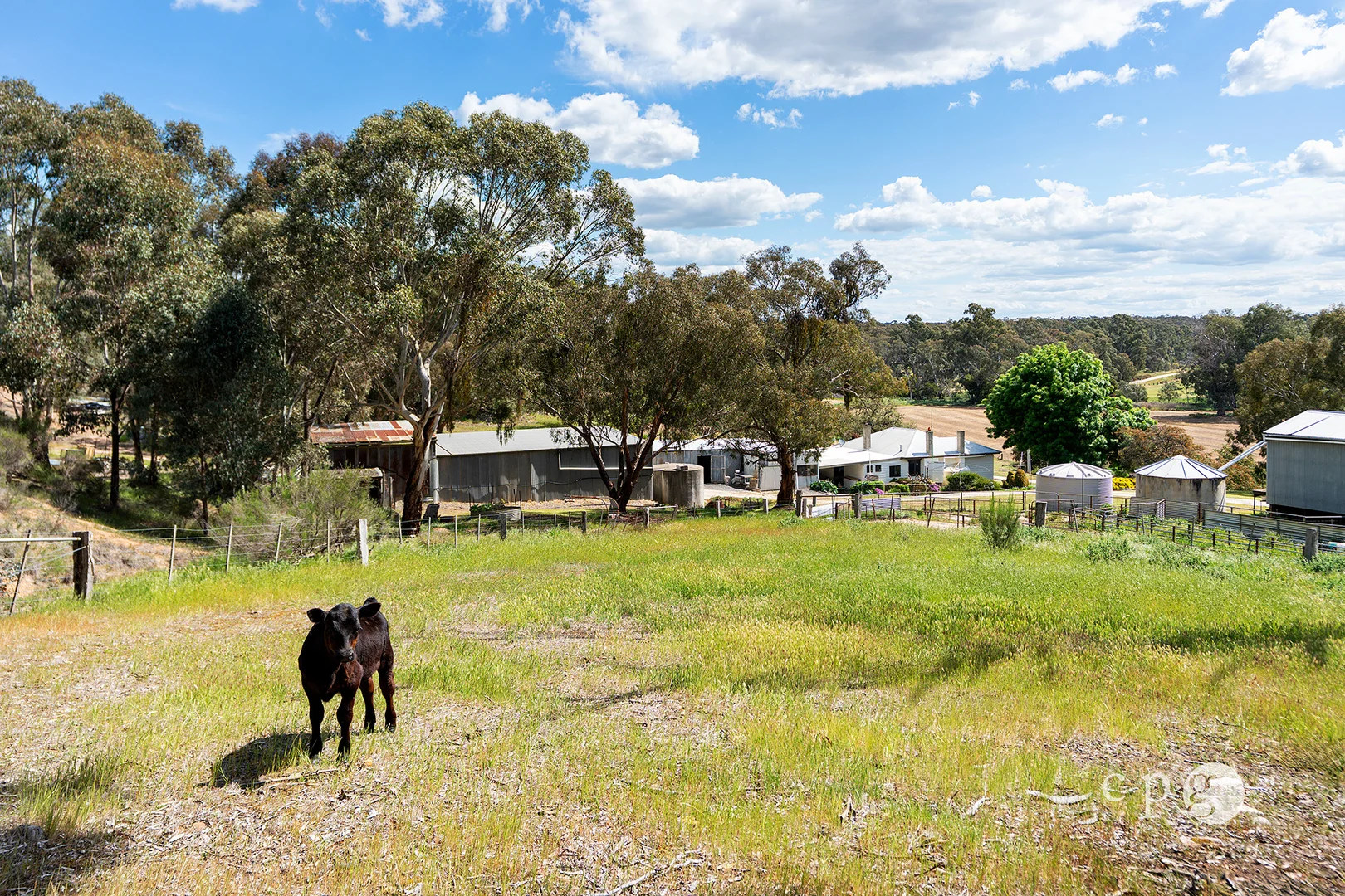 Additional image 14 of 78 Garsed Road, Clydesdale VIC 3461
