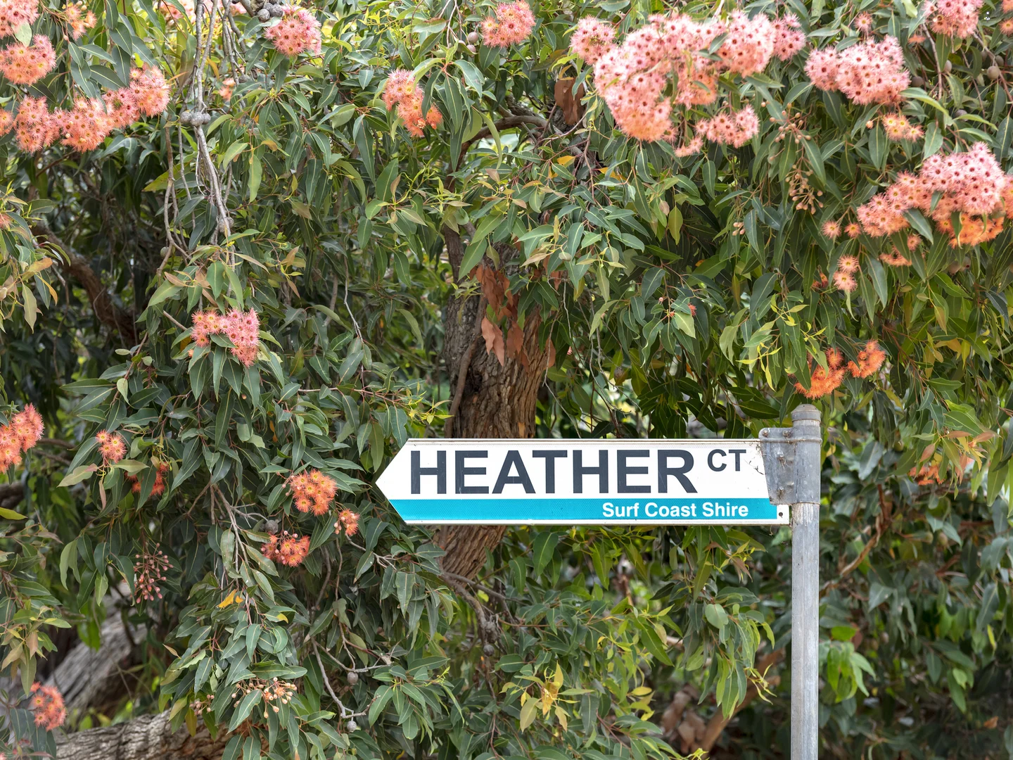 Additional image 18 of 2 Heather Court, Anglesea VIC 3230