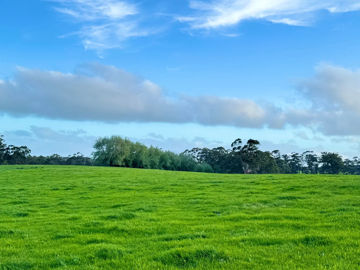 Additional image 12 of 29 Cowens Lane, Nirranda East VIC 3268