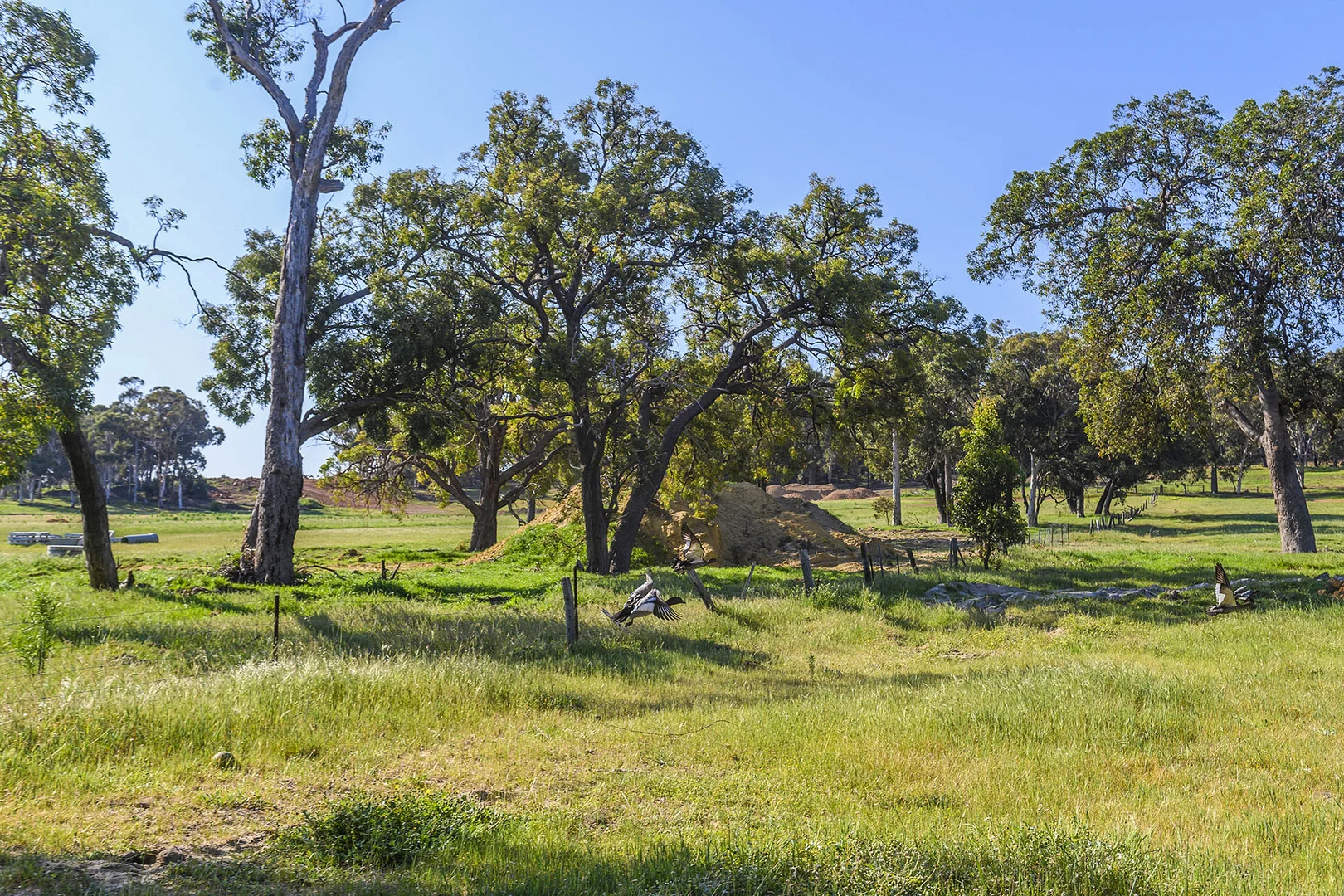 Additional image 31 of Guernsey Rise, Lower Chittering WA 6084